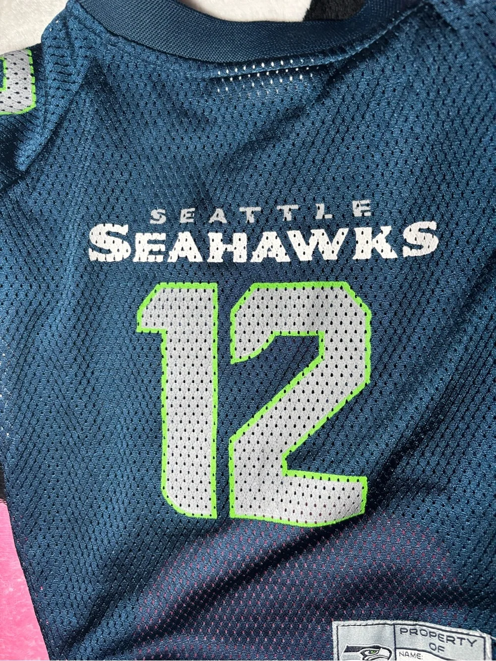 Seattle Seahawks pet jersey
